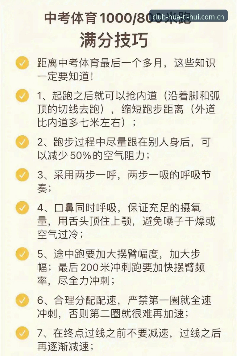 新手必看！使用华体会体育最新版本的7个关键步骤与实用技巧
