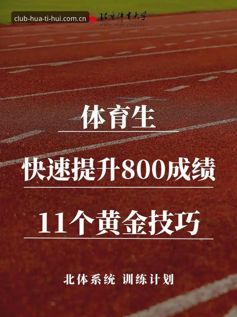 如何提升华体会体育手机版使用体验？五大实用技巧分享